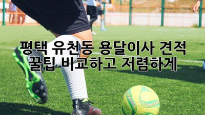 평택 유천동 용달이사 견적 꿀팁🍯 비교하고 저렴하게!